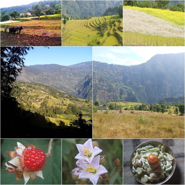 "Okhaldhunga: Unveiling the Heritage and Hidden Opportunities of Eastern Nepal"