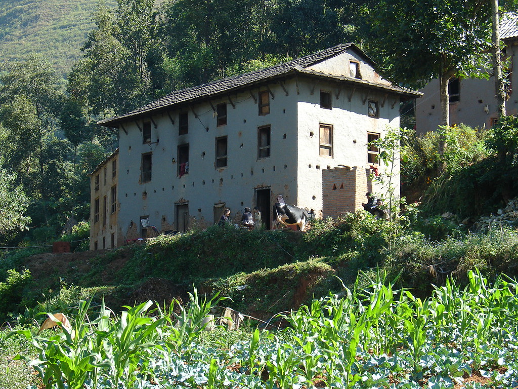 The Perfect Nepali Tea: A Blend of Flavors and Culture